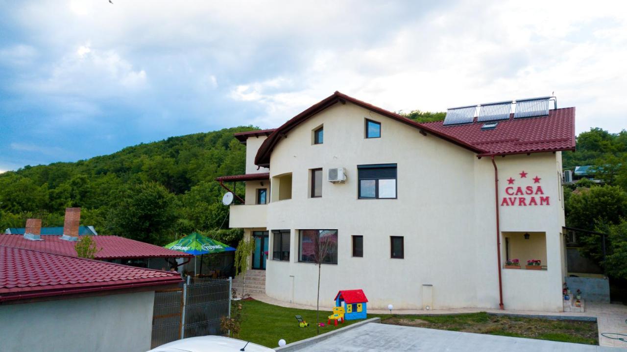 Willa Casa Avram Râmnicu Vâlcea Zewnętrze zdjęcie